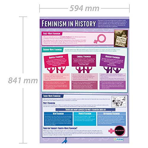 חינוך בהקיץ פמיניזם בהיסטוריה | כרזות סוציולוגיה | נייר מבריק למינציה בגודל 33 x 23.5 | פוסטרים בכיתות סוציולוגיה